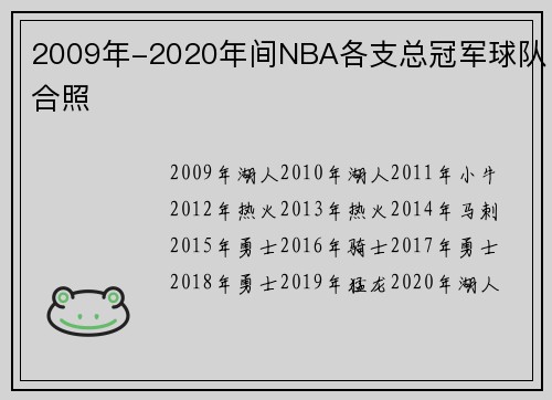 2009年-2020年间NBA各支总冠军球队合照